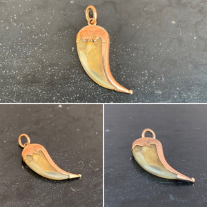 Yellow Gold Tiger tooth Fob